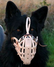 Leather discount basket muzzle