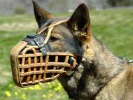 Malinois Leather Basket Dog Training Muzzle Malinois Leather Basket Dog Training Muzzle