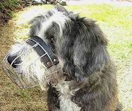Bearded Collie Wire Basket Dog Muzzle Bearded Collie Wire Basket Dog Muzzle