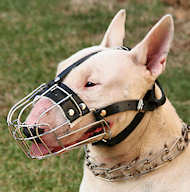 English Bull Terrier Wire Basket Dog Muzzle - custom dog muzzle English Bull Terrier Wire Basket Dog Muzzle - custom dog muzzle