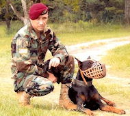 Doberman Leather Dog Training Muzzle Doberman Leather Dog Training Muzzle