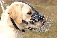 Basket Wire Dog Muzzle Light For Labrador Basket Wire Dog Muzzle Light For Labrador