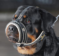 Dog muzzle shop for rottweiler