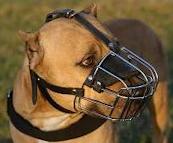 Wire basket muzzle for clearance pitbull